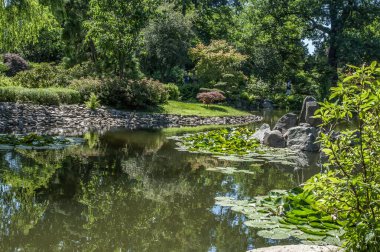the charms of the japanese garden in wrocaw
