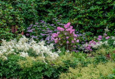 Hamburg 'un zengin bitki örtüsü Avrupa' nın dört bir yanından turistleri cezbediyor.