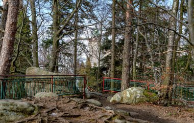 Asil ormanda eski bir kale kayası