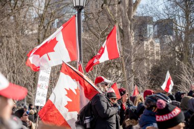 6 Şubat 2022 Toronto Anti Vax protestosu Queens Park 'ta. Kamyon konvoyu protestocuları, zorunlu olmayan gösterilerle dayanışma içinde olmak üzere arka arkaya ikinci hafta sonu için Queen 's Park, Toronto' da toplandılar.. 
