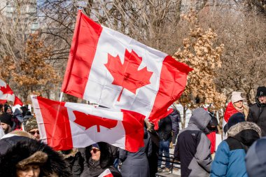 6 Şubat 2022 Toronto Anti Vax protestosu Queens Park 'ta. Kamyon konvoyu protestocuları, zorunlu olmayan gösterilerle dayanışma içinde olmak üzere arka arkaya ikinci hafta sonu için Queen 's Park, Toronto' da toplandılar.. 