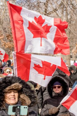 6 Şubat 2022 Toronto Anti Vax protestosu Queens Park 'ta. Kamyon konvoyu protestocuları, zorunlu olmayan gösterilerle dayanışma içinde olmak üzere arka arkaya ikinci hafta sonu için Queen 's Park, Toronto' da toplandılar.. 