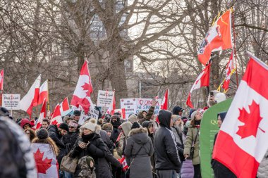 6 Şubat 2022 Toronto Anti Vax protestosu Queens Park 'ta. Kamyon konvoyu protestocuları, zorunlu olmayan gösterilerle dayanışma içinde olmak üzere arka arkaya ikinci hafta sonu için Queen 's Park, Toronto' da toplandılar.. 