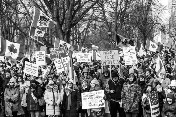 2022年2月6日 トロント アンチ ヴァックスがクイーンズ パークで抗議 トラック輸送隊の抗議者は 反マンデートデモと連帯して第二週末のためにトロントのクイーンズパークに集まります — ストック写真