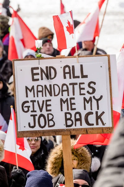 Février 2022 Manifestation Vax Toronto Queens Park Des Manifestants Convoi — Photo