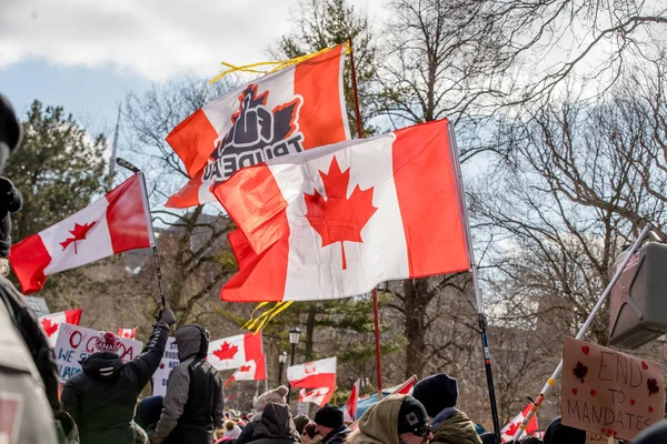 Febbraio 2022 Toronto Vax Protesta Queens Park Manifestanti Del Convoglio — Foto Stock