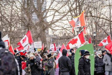 6 Şubat 2022 Toronto Anti Vax protestosu Queens Park 'ta. Kamyon konvoyu protestocuları, zorunlu olmayan gösterilerle dayanışma içinde olmak üzere arka arkaya ikinci hafta sonu için Queen 's Park, Toronto' da toplandılar.. 