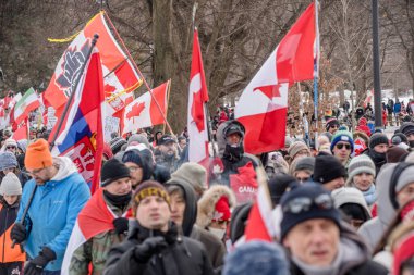 6 Şubat 2022 Toronto Anti Vax protestosu Queens Park 'ta. Kamyon konvoyu protestocuları, zorunlu olmayan gösterilerle dayanışma içinde olmak üzere arka arkaya ikinci hafta sonu için Queen 's Park, Toronto' da toplandılar.. 