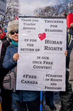 6 Şubat 2022 Toronto Anti Vax protestosu Queens Park 'ta. Kamyon konvoyu protestocuları, zorunlu olmayan gösterilerle dayanışma içinde olmak üzere arka arkaya ikinci hafta sonu için Queen 's Park, Toronto' da toplandılar.. 