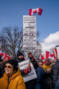6 Şubat 2022 Toronto Anti Vax protestosu Queens Park 'ta. Kamyon konvoyu protestocuları, zorunlu olmayan gösterilerle dayanışma içinde olmak üzere arka arkaya ikinci hafta sonu için Queen 's Park, Toronto' da toplandılar.. 