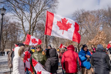 6 Şubat 2022 Toronto Anti Vax protestosu Queens Park 'ta. Kamyon konvoyu protestocuları, zorunlu olmayan gösterilerle dayanışma içinde olmak üzere arka arkaya ikinci hafta sonu için Queen 's Park, Toronto' da toplandılar.. 