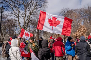 6 Şubat 2022 Toronto Anti Vax protestosu Queens Park 'ta. Kamyon konvoyu protestocuları, zorunlu olmayan gösterilerle dayanışma içinde olmak üzere arka arkaya ikinci hafta sonu için Queen 's Park, Toronto' da toplandılar.. 
