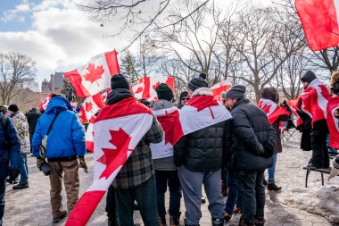 6 Şubat 2022 Toronto Anti Vax protestosu Queens Park 'ta. Kamyon konvoyu protestocuları, zorunlu olmayan gösterilerle dayanışma içinde olmak üzere arka arkaya ikinci hafta sonu için Queen 's Park, Toronto' da toplandılar.. 