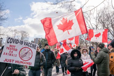 6 Şubat 2022 Toronto Anti Vax protestosu Queens Park 'ta. Kamyon konvoyu protestocuları, zorunlu olmayan gösterilerle dayanışma içinde olmak üzere arka arkaya ikinci hafta sonu için Queen 's Park, Toronto' da toplandılar.. 