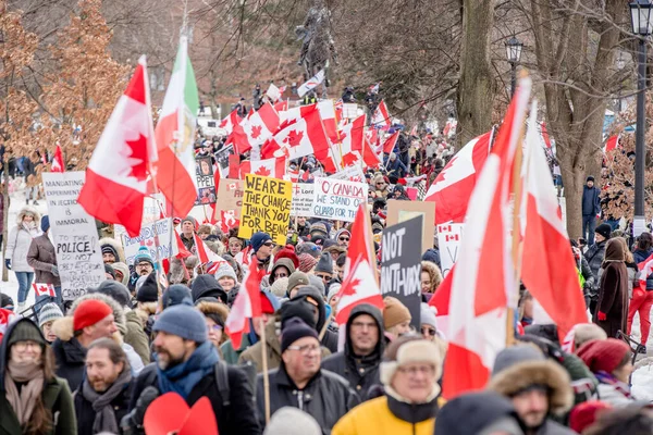 Fev 2022 Toronto Vax Protesto Queens Park Manifestantes Comboio Caminhoneiros — Fotografia de Stock