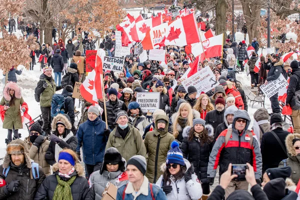 Feb 2022 Toronto Vax Protest Queens Park Trucker Convoy Protesters — Stock Photo, Image