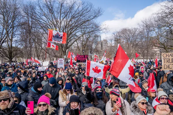 Şubat 2022 Toronto Vax Protestosu Queens Park Kamyon Konvoyu Protestocuları — Stok fotoğraf