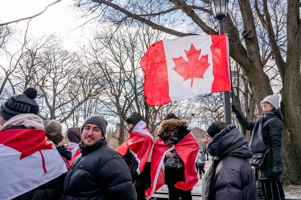 2022 Február Toronto Vax Tüntetés Queens Parkban Trucker Konvoj Tüntetők — Stock Fotó