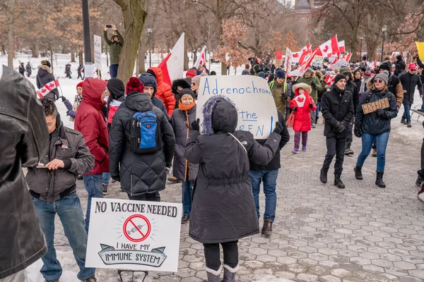Şubat 2022 Toronto Vax Protestosu Queens Park Kamyon Konvoyu Protestocuları — Stok fotoğraf