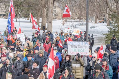 6 Şubat 2022 Toronto Anti Vax protestosu Queens Park 'ta. Kamyon konvoyu protestocuları, zorunlu olmayan gösterilerle dayanışma içinde olmak üzere arka arkaya ikinci hafta sonu için Queen 's Park, Toronto' da toplandılar.. 