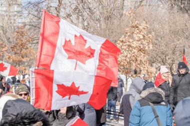 6 Şubat 2022 Toronto Anti Vax protestosu Queens Park 'ta. Kamyon konvoyu protestocuları, zorunlu olmayan gösterilerle dayanışma içinde olmak üzere arka arkaya ikinci hafta sonu için Queen 's Park, Toronto' da toplandılar.. 