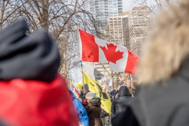 6 Şubat 2022 Toronto Anti Vax protestosu Queens Park 'ta. Kamyon konvoyu protestocuları, zorunlu olmayan gösterilerle dayanışma içinde olmak üzere arka arkaya ikinci hafta sonu için Queen 's Park, Toronto' da toplandılar.. 
