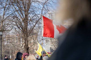 6 Şubat 2022 Toronto Anti Vax protestosu Queens Park 'ta. Kamyon konvoyu protestocuları, zorunlu olmayan gösterilerle dayanışma içinde olmak üzere arka arkaya ikinci hafta sonu için Queen 's Park, Toronto' da toplandılar.. 