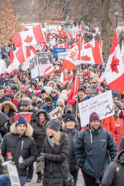 6 Şubat 2022 Toronto Anti Vax protestosu Queens Park 'ta. Kamyon konvoyu protestocuları, zorunlu olmayan gösterilerle dayanışma içinde olmak üzere arka arkaya ikinci hafta sonu için Queen 's Park, Toronto' da toplandılar.. 