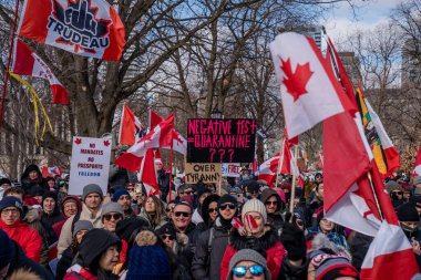 6 Şubat 2022 Toronto Anti Vax protestosu Queens Park 'ta. Kamyon konvoyu protestocuları, zorunlu olmayan gösterilerle dayanışma içinde olmak üzere arka arkaya ikinci hafta sonu için Queen 's Park, Toronto' da toplandılar.. 