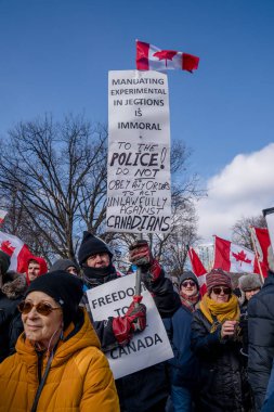 6 Şubat 2022 Toronto Anti Vax protestosu Queens Park 'ta. Kamyon konvoyu protestocuları, zorunlu olmayan gösterilerle dayanışma içinde olmak üzere arka arkaya ikinci hafta sonu için Queen 's Park, Toronto' da toplandılar.. 