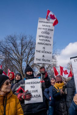 6 Şubat 2022 Toronto Anti Vax protestosu Queens Park 'ta. Kamyon konvoyu protestocuları, zorunlu olmayan gösterilerle dayanışma içinde olmak üzere arka arkaya ikinci hafta sonu için Queen 's Park, Toronto' da toplandılar.. 
