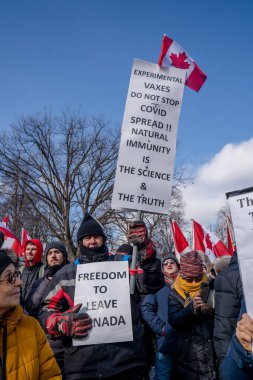 6 Şubat 2022 Toronto Anti Vax protestosu Queens Park 'ta. Kamyon konvoyu protestocuları, zorunlu olmayan gösterilerle dayanışma içinde olmak üzere arka arkaya ikinci hafta sonu için Queen 's Park, Toronto' da toplandılar.. 
