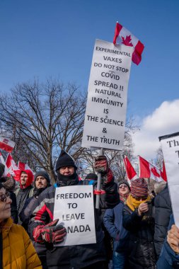 6 Şubat 2022 Toronto Anti Vax protestosu Queens Park 'ta. Kamyon konvoyu protestocuları, zorunlu olmayan gösterilerle dayanışma içinde olmak üzere arka arkaya ikinci hafta sonu için Queen 's Park, Toronto' da toplandılar.. 