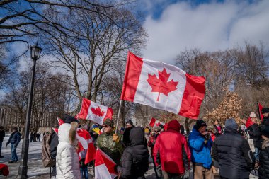 6 Şubat 2022 Toronto Anti Vax protestosu Queens Park 'ta. Kamyon konvoyu protestocuları, zorunlu olmayan gösterilerle dayanışma içinde olmak üzere arka arkaya ikinci hafta sonu için Queen 's Park, Toronto' da toplandılar.. 