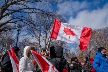 6 Şubat 2022 Toronto Anti Vax protestosu Queens Park 'ta. Kamyon konvoyu protestocuları, zorunlu olmayan gösterilerle dayanışma içinde olmak üzere arka arkaya ikinci hafta sonu için Queen 's Park, Toronto' da toplandılar.. 