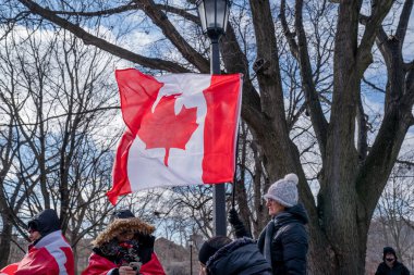 6 Şubat 2022 Toronto Anti Vax protestosu Queens Park 'ta. Kamyon konvoyu protestocuları, zorunlu olmayan gösterilerle dayanışma içinde olmak üzere arka arkaya ikinci hafta sonu için Queen 's Park, Toronto' da toplandılar.. 
