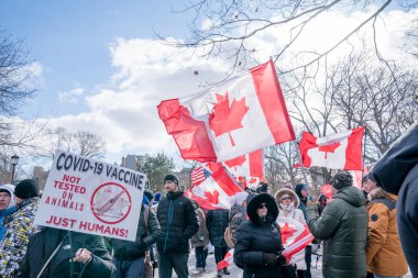 6 Şubat 2022 Toronto Anti Vax protestosu Queens Park 'ta. Kamyon konvoyu protestocuları, zorunlu olmayan gösterilerle dayanışma içinde olmak üzere arka arkaya ikinci hafta sonu için Queen 's Park, Toronto' da toplandılar.. 