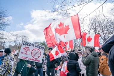6 Şubat 2022 Toronto Anti Vax protestosu Queens Park 'ta. Kamyon konvoyu protestocuları, zorunlu olmayan gösterilerle dayanışma içinde olmak üzere arka arkaya ikinci hafta sonu için Queen 's Park, Toronto' da toplandılar.. 