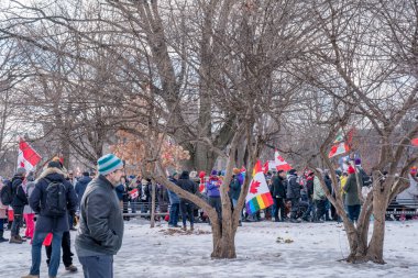 6 Şubat 2022 Toronto Anti Vax protestosu Queens Park 'ta. Kamyon konvoyu protestocuları, zorunlu olmayan gösterilerle dayanışma içinde olmak üzere arka arkaya ikinci hafta sonu için Queen 's Park, Toronto' da toplandılar.. 