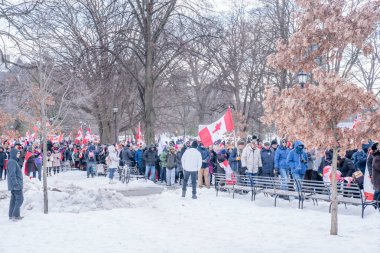 6 Şubat 2022 Toronto Anti Vax protestosu Queens Park 'ta. Kamyon konvoyu protestocuları, zorunlu olmayan gösterilerle dayanışma içinde olmak üzere arka arkaya ikinci hafta sonu için Queen 's Park, Toronto' da toplandılar.. 