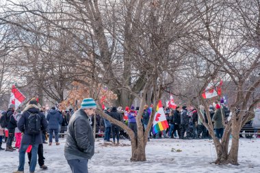 6 Şubat 2022 Toronto Anti Vax protestosu Queens Park 'ta. Kamyon konvoyu protestocuları, zorunlu olmayan gösterilerle dayanışma içinde olmak üzere arka arkaya ikinci hafta sonu için Queen 's Park, Toronto' da toplandılar.. 