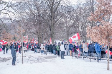 6 Şubat 2022 Toronto Anti Vax protestosu Queens Park 'ta. Kamyon konvoyu protestocuları, zorunlu olmayan gösterilerle dayanışma içinde olmak üzere arka arkaya ikinci hafta sonu için Queen 's Park, Toronto' da toplandılar.. 