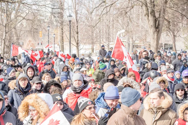 Febbraio 2022 Toronto Vax Protesta Queens Park Manifestanti Del Convoglio — Foto Stock