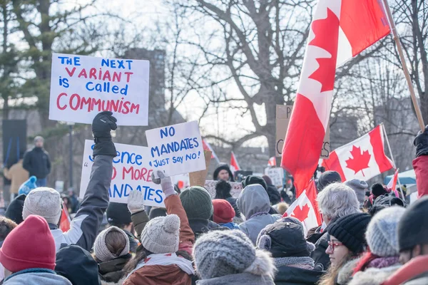 Şubat 2022 Toronto Vax Protestosu Queens Park Kamyon Konvoyu Protestocuları — Stok fotoğraf