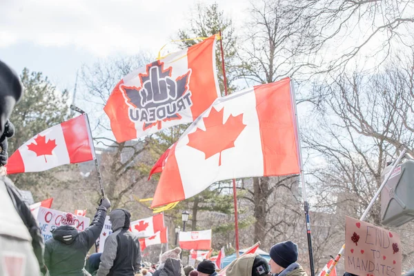 Feb 2022 Toronto Vax Protest Queens Park Trucker Convoy Protesters — Stock Photo, Image