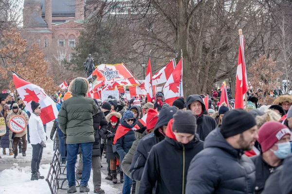 Feb 2022 Toronto Vax Protest Queens Park Trucker Convoy Protesters — Stock Photo, Image