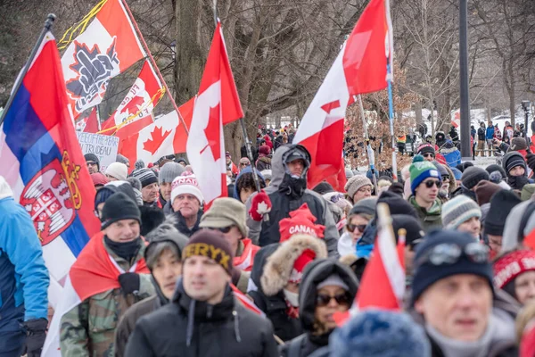 Şubat 2022 Toronto Vax Protestosu Queens Park Kamyon Konvoyu Protestocuları — Stok fotoğraf