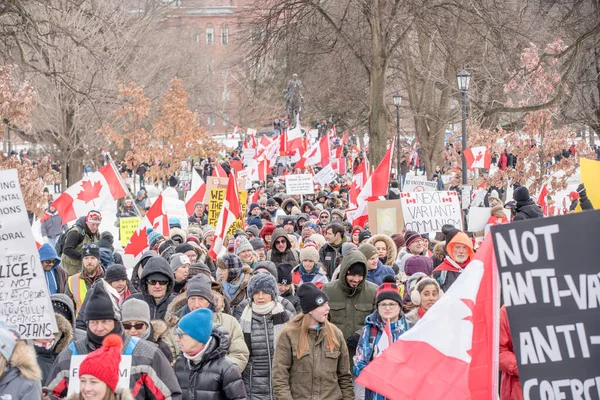Şubat 2022 Toronto Vax Protestosu Queens Park Kamyon Konvoyu Protestocuları — Stok fotoğraf