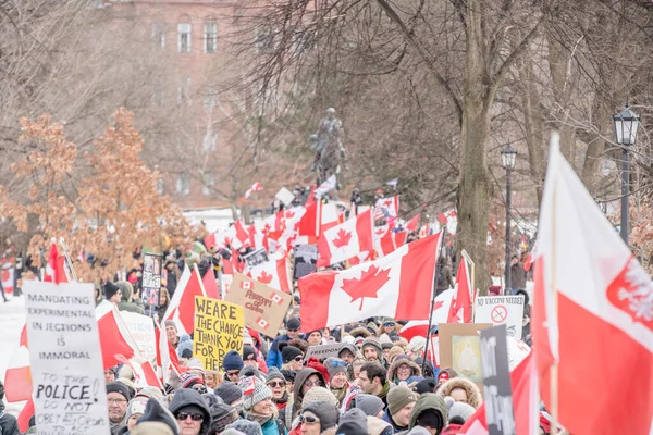 Febbraio 2022 Toronto Vax Protesta Queens Park Manifestanti Del Convoglio — Foto Stock