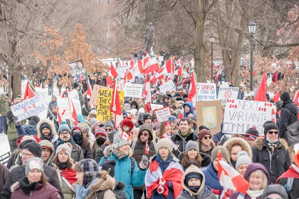 Feb 2022 Toronto Protesta Contra Vax Queens Park Manifestantes Del —  Fotos de Stock